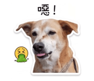 853350710