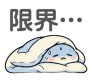 853354155