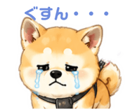 853354408
