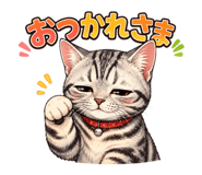 853355211