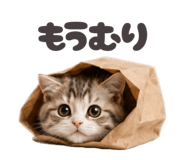 853355337