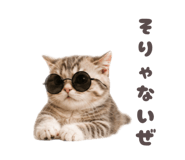 853355340