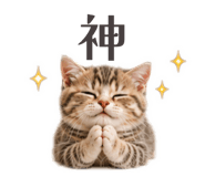 853355342