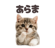 853355355
