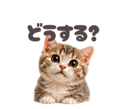 853355358