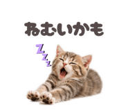 853355360