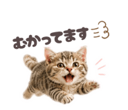 853355361