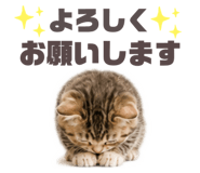 853355366