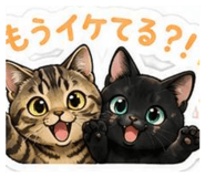 853355437
