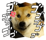 853355470