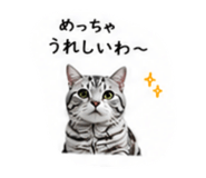 853355647