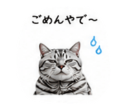 853355655