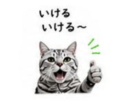 853355661