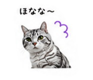 853355667