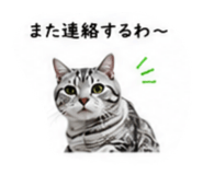 853355668