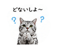 853355672