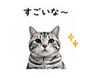 853355676