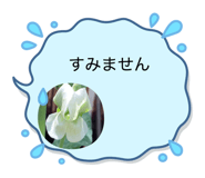 853356085