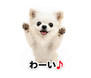 853356515