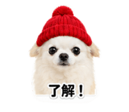 853356520