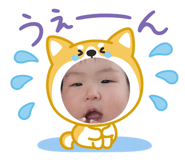 853356584