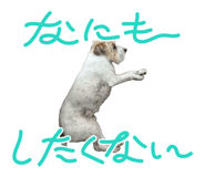 853356605