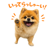 853357116