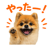 853357124