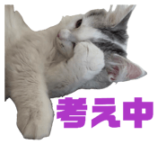 853357251
