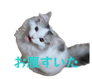 853357254