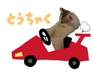 853357262