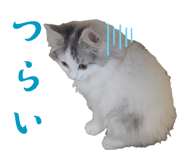 853357267