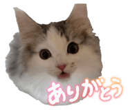 853357271