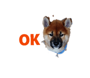 853357299