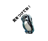 853357300
