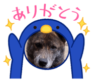 853357304