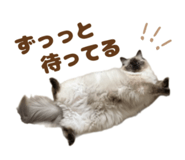 853357308