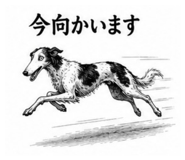 853358207
