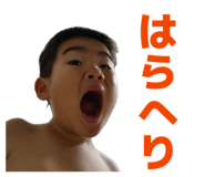 853358356
