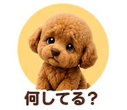 853359031