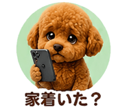 853359034