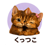 853359048