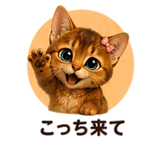 853359053