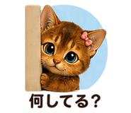 853359063
