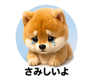 853359095