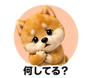 853359103