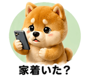 853359106