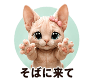 853359377