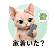 853359394