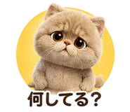 853359431